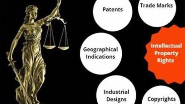 Intellectual Property Rights